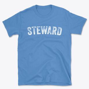 Steward Illinois Timeless Retro Basic T-Shirt