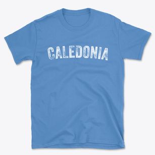 Caledonia Missouri Timeless Retro Basic T-Shirt