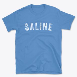 Saline Michigan Timeless Retro Basic T-Shirt
