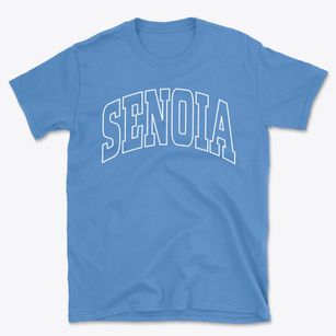 Senoia Georgia Trendy Block Basic T-Shirt