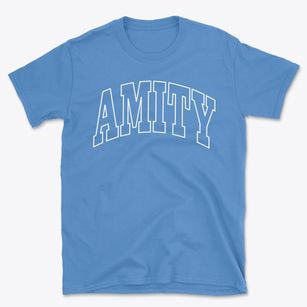 Amity Missouri Trendy Block Basic T-Shirt