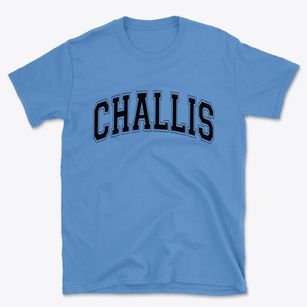 Challis Idaho Varsity Basic T-Shirt