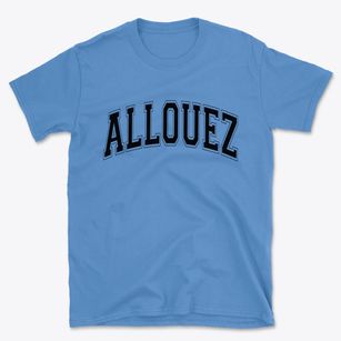 Allouez Wisconsin Varsity Basic T-Shirt