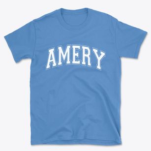 Amery Wisconsin Varsity Basic T-Shirt