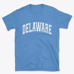 Delaware New York Varsity Basic T-Shirt