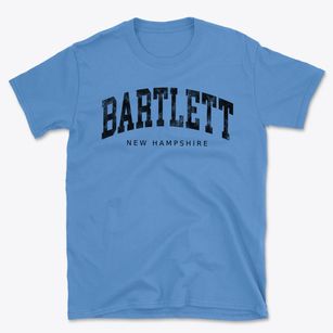Bartlett New Hampshire Urban Vibe Basic T-Shirt