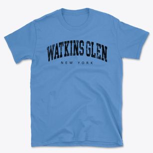 Watkins Glen New York Urban Vibe Basic T-Shirt
