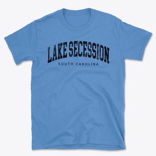Lake Secession South Carolina Urban Vibe Basic T-Shirt