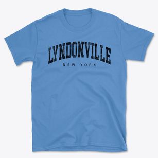 Lyndonville New York Urban Vibe Basic T-Shirt