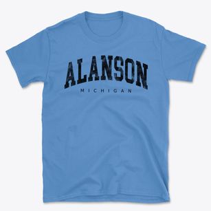 Alanson Michigan Urban Vibe Basic T-Shirt