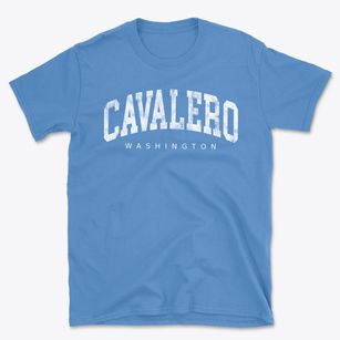 Cavalero Washington Urban Vibe Basic T-Shirt