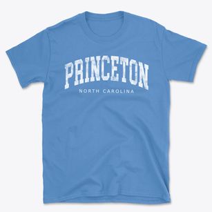 Princeton North Carolina Urban Vibe Basic T-Shirt