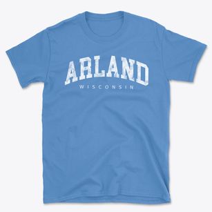 Arland Wisconsin Urban Vibe Basic T-Shirt