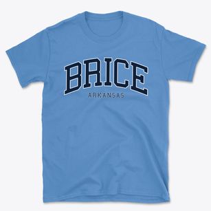 Brice Arkansas Traditional Basic T-Shirt