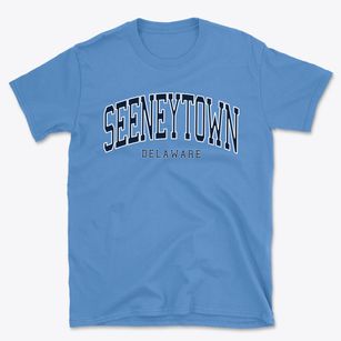 Seeneytown Delaware Traditional Basic T-Shirt
