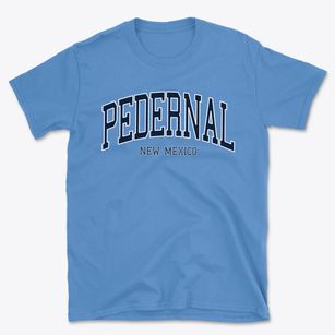 Pedernal New Mexico Traditional Basic T-Shirt