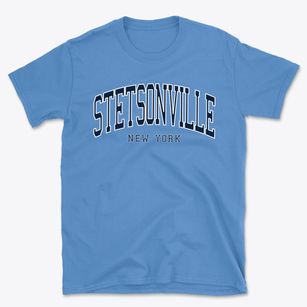 Stetsonville New York Traditional Basic T-Shirt