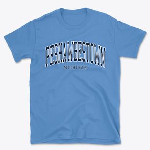 Peshawbestown Michigan Traditional Basic T-Shirt