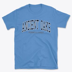 Ancient Oaks Pennsylvania Traditional Basic T-Shirt