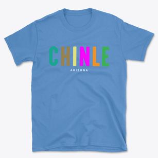 Chinle Arizona Color Pop Basic T-Shirt