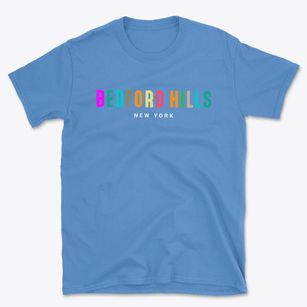Bedford Hills New York Color Pop Basic T-Shirt