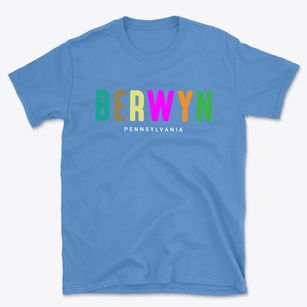 Berwyn Pennsylvania Color Pop Basic T-Shirt