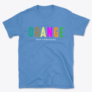 Orange New Hampshire Color Pop Basic T-Shirt