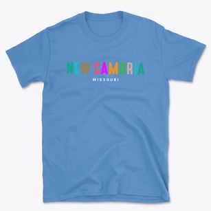 New Cambria Missouri Color Pop Basic T-Shirt