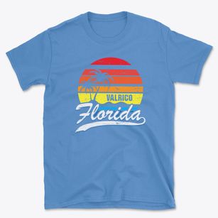 Valrico Florida Palm Tree Sunset Basic T-Shirt