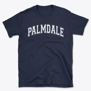 Palmdale Academy Charter School Varsity Arch Basic T-Shirt