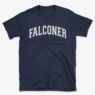 Falconer Elementary School Varsity Arch Basic T-Shirt
