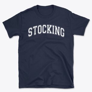 Stocking Elementary School Varsity Arch Basic T-Shirt