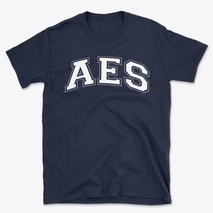 Academy Of Environmental Science Varsity Arch Basic T-Shirt