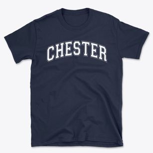 Chester Elementary School Varsity Arch Basic T-Shirt