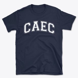 Columbus Africentric Early College Varsity Arch Basic T-Shirt