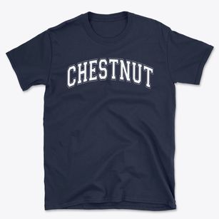 Chestnut Elementary School Varsity Arch Basic T-Shirt