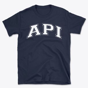 Advanced Preparatory International Varsity Arch Basic T-Shirt