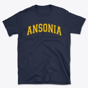 Ansonia High School Varsity Arch Basic T-Shirt