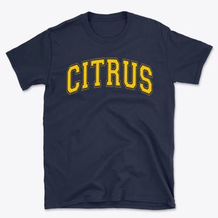 Citrus Elementary School Varsity Arch Basic T-Shirt