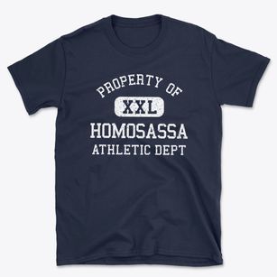 Homosassa Florida Athletic Dept Basic T-Shirt