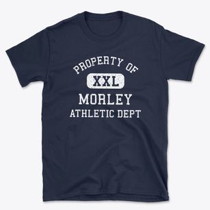 Morley Michigan Athletic Dept Basic T-Shirt