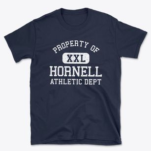 Hornell New York Athletic Dept Basic T-Shirt
