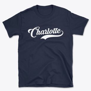 Charlotte New York Vintage Team Basic T-Shirt