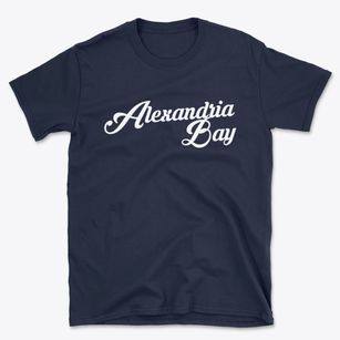 Alexandria Bay New York Vintage Team Basic T-Shirt