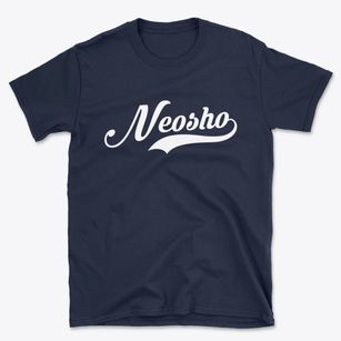 Neosho Missouri Vintage Team Basic T-Shirt