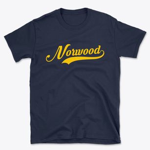 Norwood New York Vintage Team Basic T-Shirt