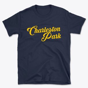 Charleston Park Florida Vintage Team Basic T-Shirt