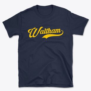 Waltham Minnesota Vintage Team Basic T-Shirt