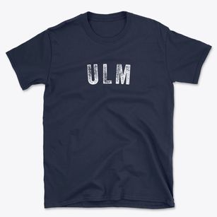 Ulm Arkansas Timeless Retro Basic T-Shirt