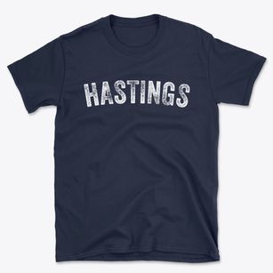 Hastings Iowa Timeless Retro Basic T-Shirt